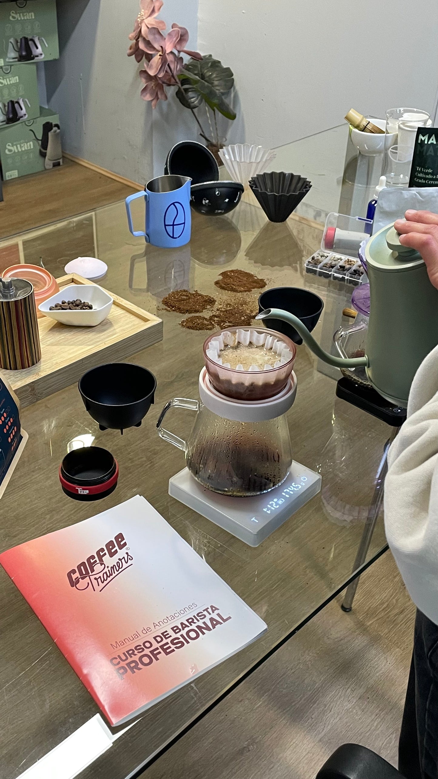 Curso de Barista Profesional