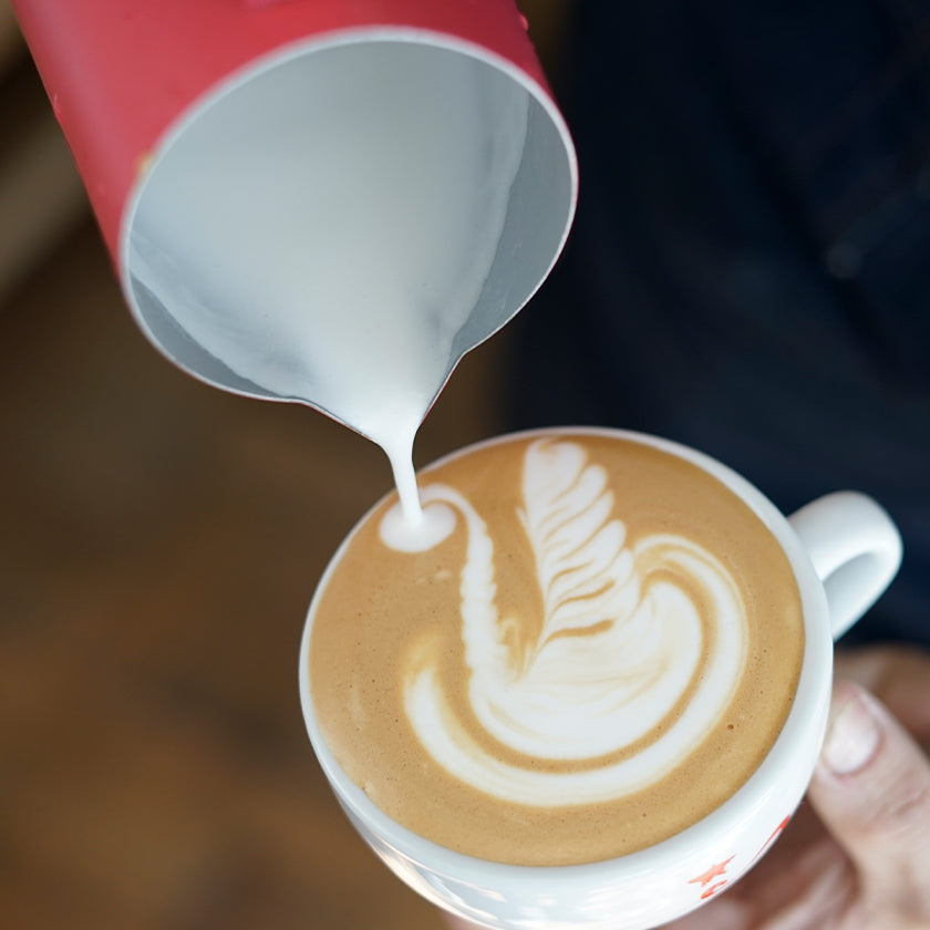 CURSO BARISTA COMPLETO